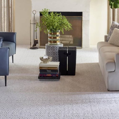 Living Room Pattern Carpet - Howard Young Flooring in Milton, FL